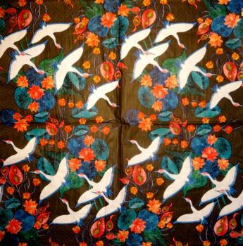 020 Storch - 3-lagig - CS